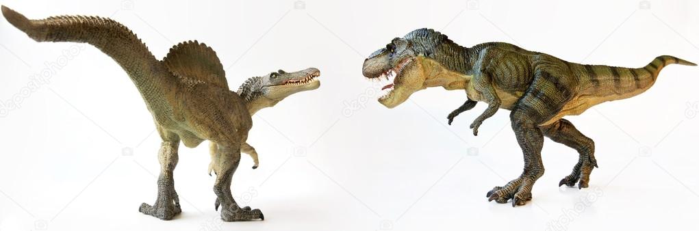 A T-rex Battles a Spinosaurus on White