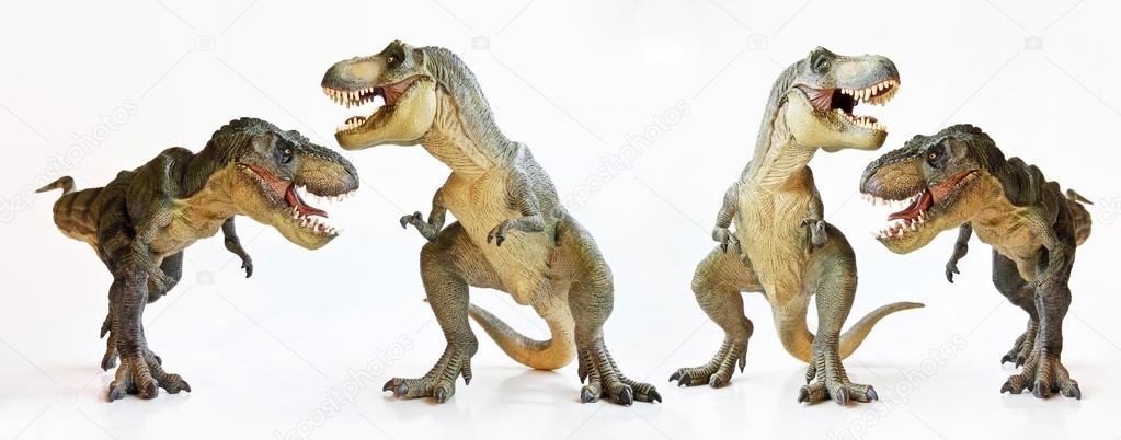 A Tyrannosaurus Quartet on a White Background