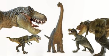 A Tyrannosaurus Rex Pack Menaces a Brachiosaurus  clipart