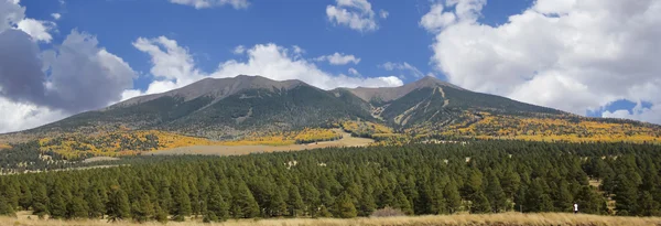 A Woman is Dwarfed by the San Francisco Peaks — Stock Photo, Image