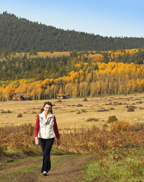 A Woman Strolls Through Fall Scenery in the San Francisco Mounta — Stock Photo, Image