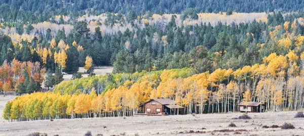 Un par de cabañas de montaña en el otoño — Foto de Stock