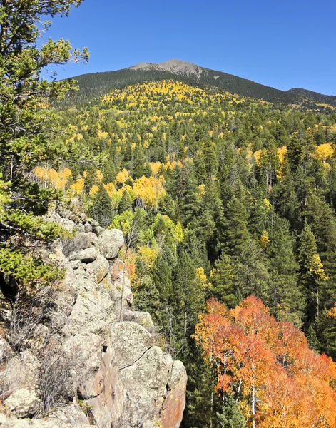 Uma vista do pico de Agassiz na queda — Fotografia de Stock