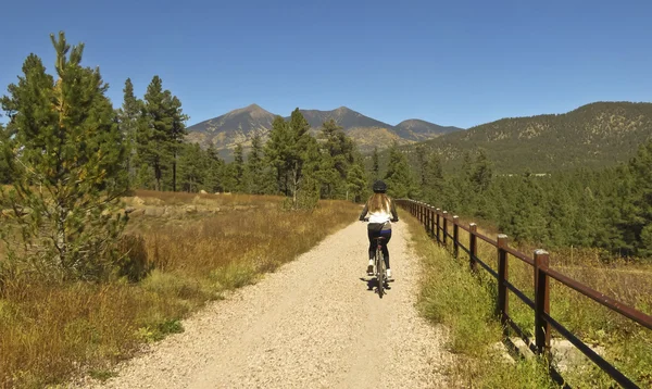 Una mujer ciclista monta en el otoño —  Fotos de Stock