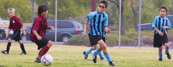 A Group of Youth Soccer Players Compete