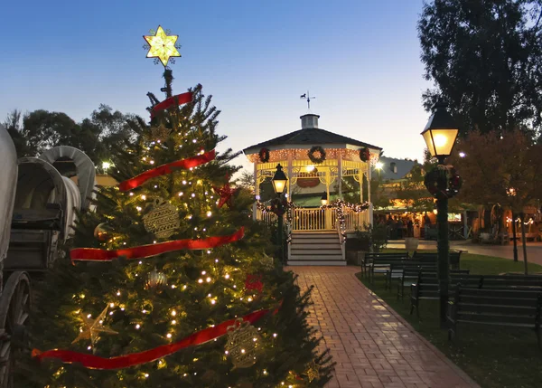 A Pinnacle Peak Christmas Scene, Tucson, Arizona — Stock Photo, Image