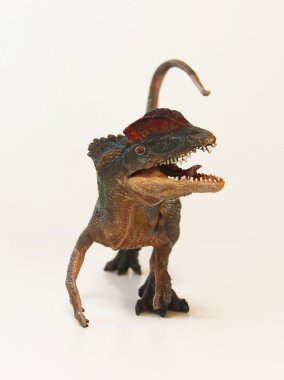 A yakın Up tepeli bir Dilophosaurus dinozor
