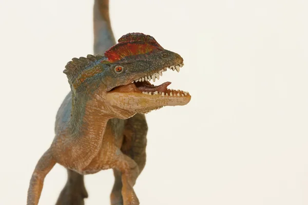 A Close Up of a Crested Dilophosaurus Dinosaur — Stock Photo, Image