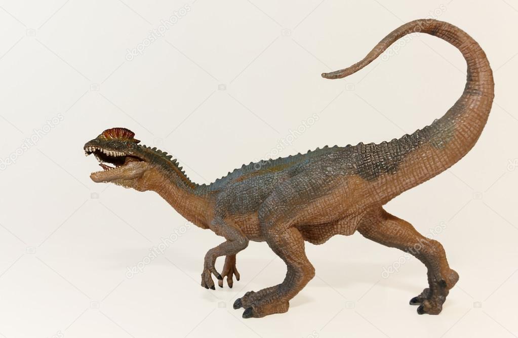 A Close Up of a Crested Dilophosaurus Dinosaur