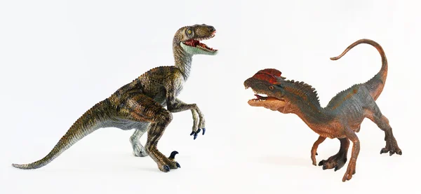 Um Dilophosaurus e um Velociraptor Face Off — Fotografia de Stock