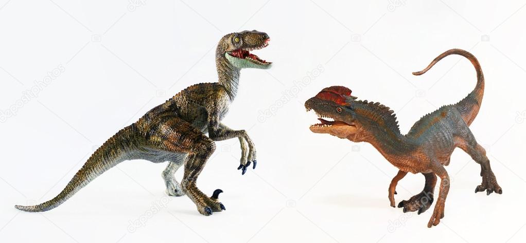 A Dilophosaurus and a Velociraptor Face Off