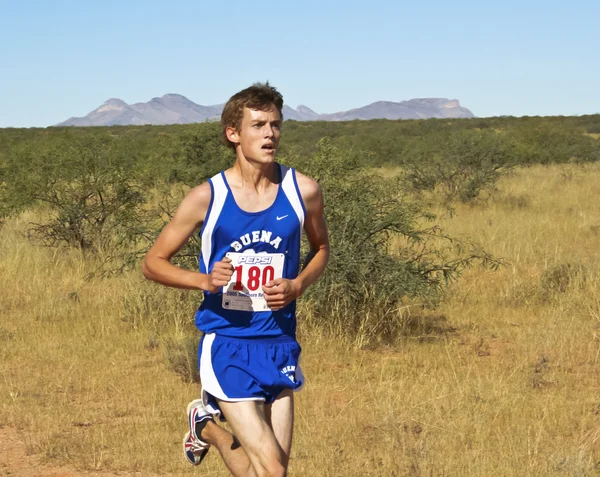 A Cross Country Runner Runs a Desert Course — Stock Photo, Image