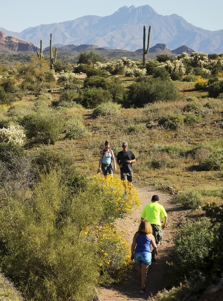 Un sendero hacia el desierto de la montaña de superstición —  Fotos de Stock