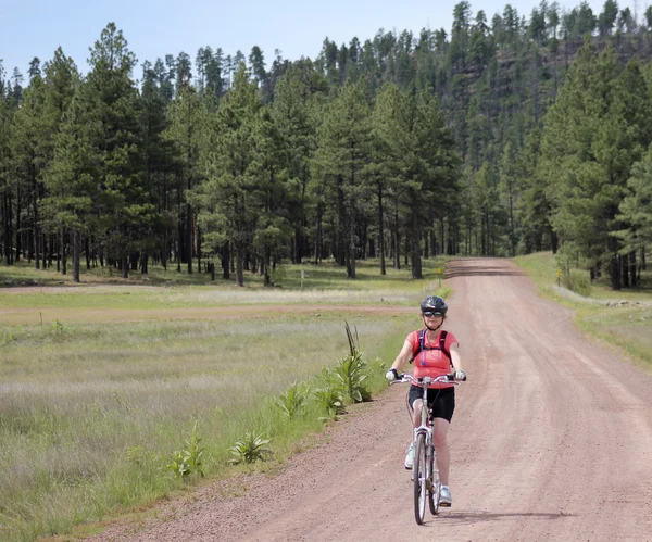 A Woman Cyclist Rides a Forest Road — Stock Photo, Image