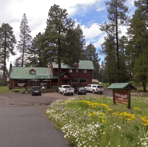 A Jagan Meadow Lodge Near Heline, Аризона — стоковое фото