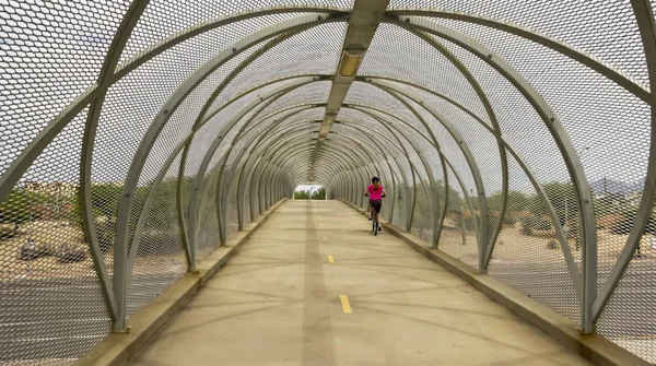航空自行车道和响尾蛇桥，图森，亚利桑那州 — 图库照片