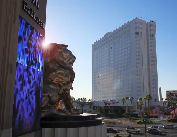 Tropicana ve Las Vegas Boulevard bir Mgm aslan — Stok fotoğraf