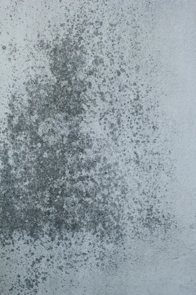 Grunge duvar dokusu arkaplanı.