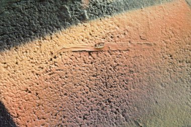 Grunge duvar dokusu arkaplanı.