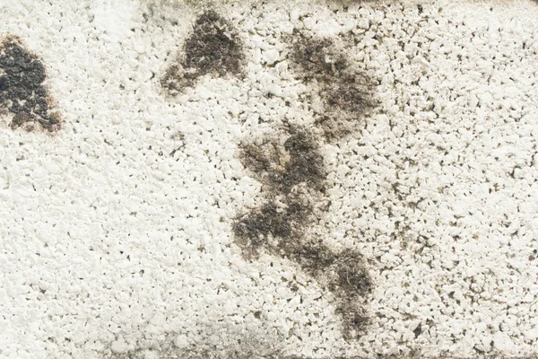 Grunge duvar dokusu arkaplanı.