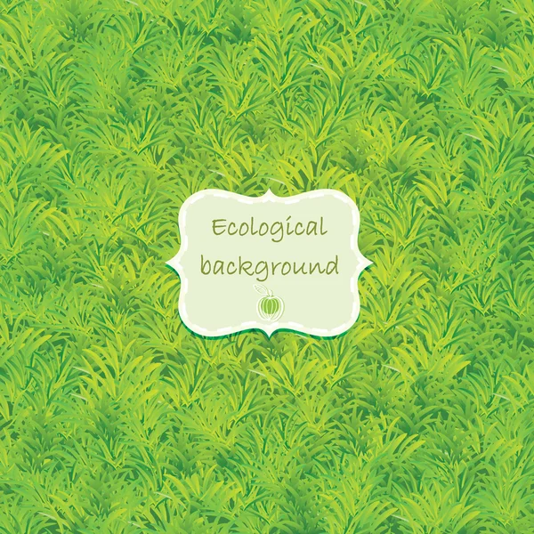 Green grass background — Stock Vector