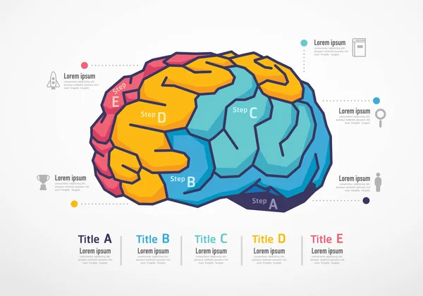 Hersenen Infographic Bedrijfsonderwijsconcept Vector Dia Sjabloon Creatieve Illustratie — Stockvector