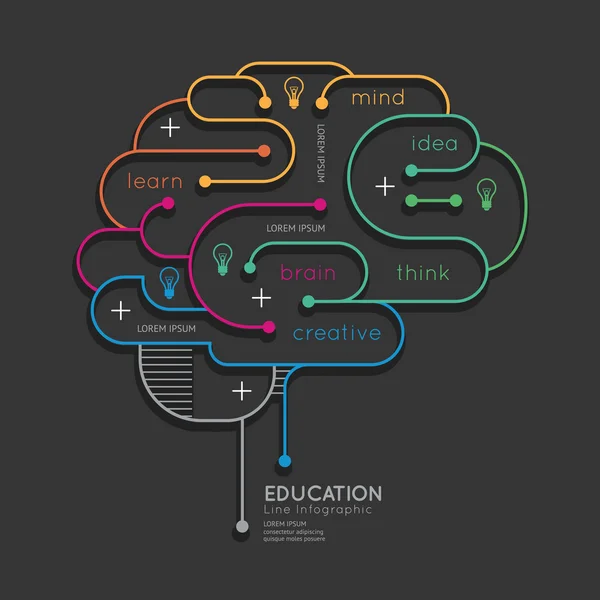 Infographic utbildning disposition hjärnan koncept. — Stock vektor