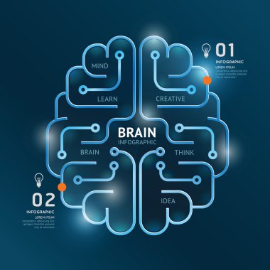 infographics beyin tasarım