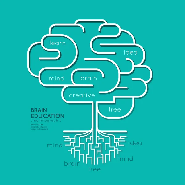 Infographic Education Brain Roots Concept - Stok Vektor