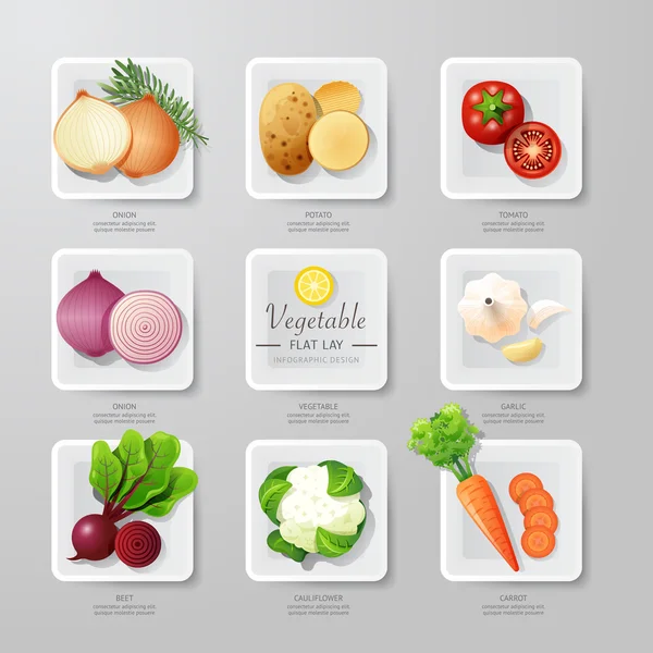 Infographic food vegetables — Stock Vector