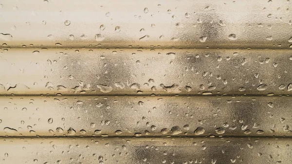 Closeup of polycarbonate corrugated roofing sheet with water drops. Plastic striped textured roof covering with raindrops and visible tree branch shape through bronze toned transparent grainy surface.