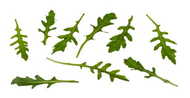 Beyaz arkaplanda yeşil roka yaprakları var. Eruca sativa. Sağlıklı çiğ yaprak sebzesi. Folat ve K vitamini kaynağı, A veya C veya kalsiyum ve magnezyum diyet minerali. Taze salata..