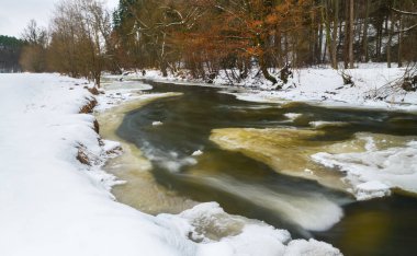 Güney Bohemya doğasında Lomnice Nehri 'nin dinamik akışına sahip kış manzarası. Beyaz kar ve ağaçlarla dolu vahşi bir nehir yatağı ve eriyen buzla birlikte akan tatlı su yüzeyinin güzel hareket bulanıklığı..
