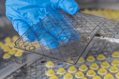 Çizgi şablonunda basılı bakır tabaka ile şeffaf, esnek devre kartı detayı. Bilgisayar klavyesinin iç zarının bükülmüş plastik elektronik FPC 'sini tutan mühendis eli. Elektrik mühendisliği..