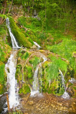 Sırbistan 'ın Zlatibor kentindeki Gostilje köyündeki Katusnica nehrinde şelale. 