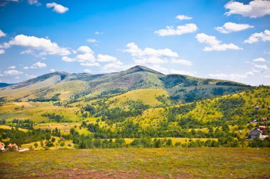 Sırbistan 'ın Zlatibor Dağı' nın yamaçlarının Idyllic manzarası.