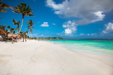 Akumal, Meksika güzel beyaz kumlu plaj. Latin Amerika.