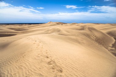 Gran Canaria 'daki ünlü doğal Maspalomas plajındaki kum tepeleri. İspanya