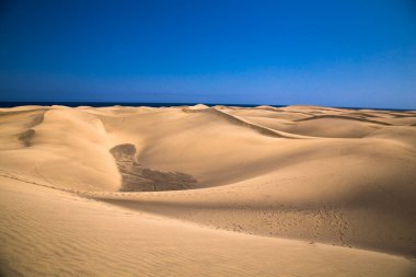 Gran Canaria 'daki ünlü doğal Maspalomas plajındaki kum tepeleri. İspanya