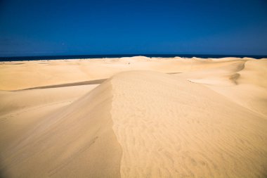 Gran Canaria 'daki ünlü doğal Maspalomas plajındaki kum tepeleri. İspanya