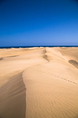 Gran Canaria 'daki ünlü doğal Maspalomas plajındaki kum tepeleri. İspanya