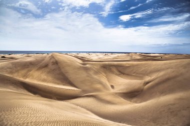 Gran Canaria 'daki ünlü doğal Maspalomas plajındaki kum tepeleri. İspanya