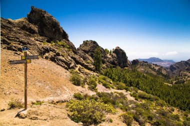 Pico de las Nieves 'deki rehber direği Büyük Kanarya' nın en yüksek noktası, İspanya.