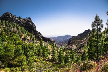 Pico de las Nieves 'ten panoramik manzara En yüksek nokta Gran Canaria, İspanya.