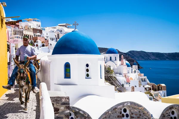 Santorini Grecia Giugno 2016 Asini Trasportare Turisti Dal Porto Alla — Foto Stock