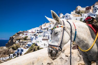 Santorini, Oia köyüne giderken merdivenlerde poz veriyor. Yunanistan.