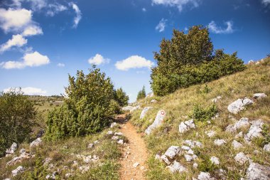 Sırbistan 'ın güneybatısında güneşli bir günde Uvac nehrinin yürüyüş parkurları.