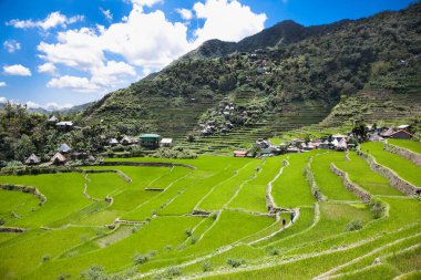 2000 yılındaki Batad Rice Terasları, UNESCO Mirası, Filipinler Merkez Luzon, Güneydoğu Asya