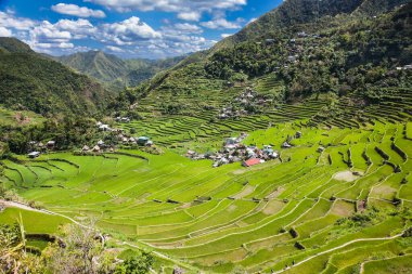 2000 yılındaki Batad Rice Terasları, UNESCO Mirası, Filipinler Merkez Luzon, Güneydoğu Asya