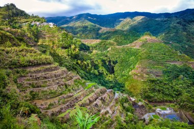 Batad Rice Terasları, UNESCO Mirası, Filipinler Merkez Luzon, Güneydoğu Asya
